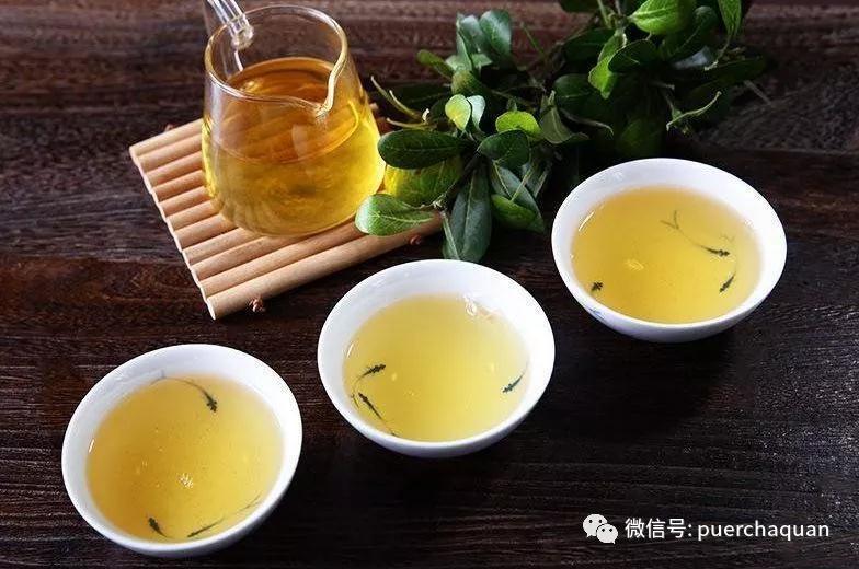 普洱春茶与秋茶,为何价差数倍？